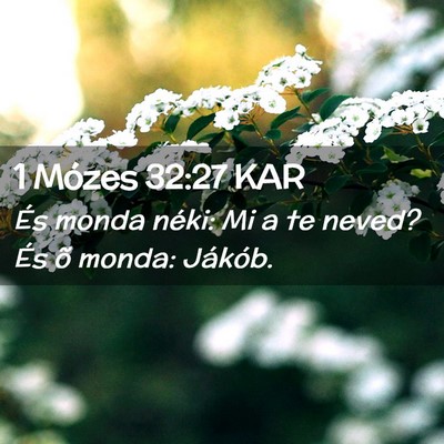 Picture 02 - 1 Mózes 32:27 KAR - És monda néki: Mi a te neved? És õ monda: - Bible Verse Picture