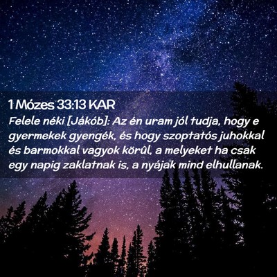 Picture 02 - 1 Mózes 33:13 KAR - Felele néki [Jákób]: Az én uram jól tudja, - Bible Verse Picture