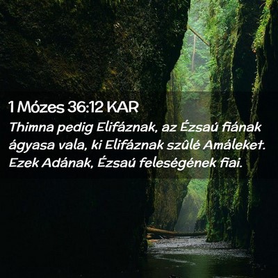 Picture 02 - 1 Mózes 36:12 KAR - Thimna pedig Elifáznak, az Ézsaú fiának - Bible Verse Picture