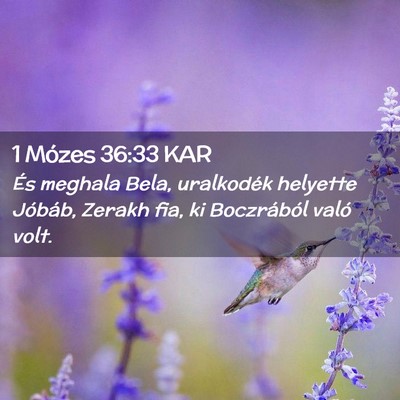 Picture 02 - 1 Mózes 36:33 KAR - És meghala Bela, uralkodék helyette Jóbáb, - Bible Verse Picture