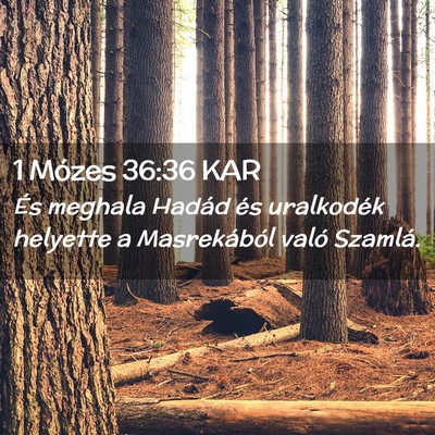 Picture 02 - 1 Mózes 36:36 KAR - És meghala Hadád és uralkodék helyette a - Bible Verse Picture