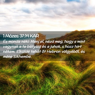 Picture 02 - 1 Mózes 37:14 KAR - És monda néki: Menj el, nézd meg, hogy s mint - Bible Verse Picture
