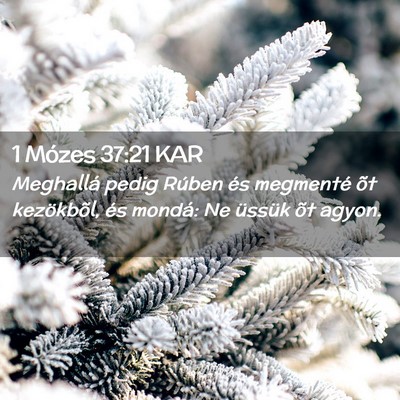 Picture 02 - 1 Mózes 37:21 KAR - Meghallá pedig Rúben és megmenté õt - Bible Verse Picture