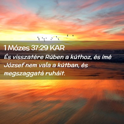 Picture 02 - 1 Mózes 37:29 KAR - És visszatére Rúben a kúthoz, és ímé - Bible Verse Picture