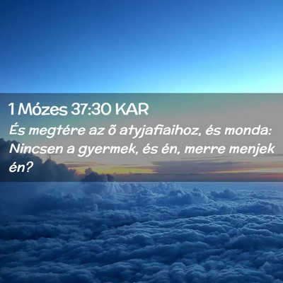 Picture 02 - 1 Mózes 37:30 KAR - És megtére az õ atyjafiaihoz, és monda: - Bible Verse Picture