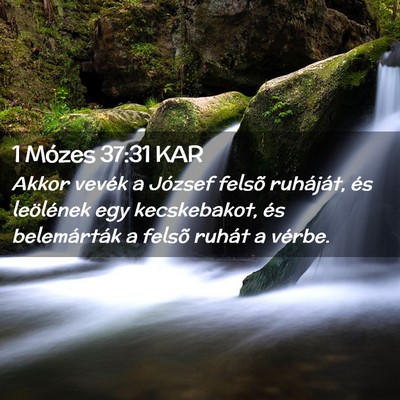 Picture 02 - 1 Mózes 37:31 KAR - Akkor vevék a József felsõ ruháját, és - Bible Verse Picture