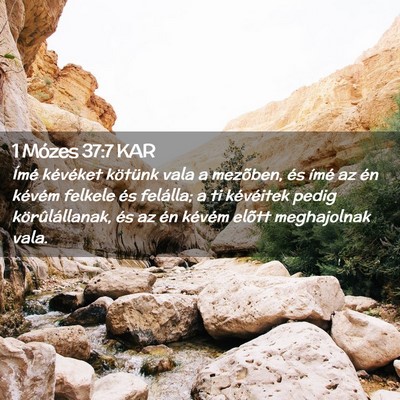 Picture 02 - 1 Mózes 37:7 KAR - Ímé kévéket kötünk vala a mezõben, és - Bible Verse Picture
