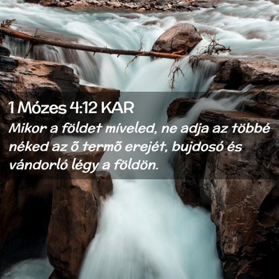 Picture 02 - 1 Mózes 4:12 KAR - Mikor a földet míveled, ne adja az többé - Bible Verse Picture