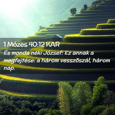 Picture 02 - 1 Mózes 40:12 KAR - És monda néki József: Ez annak a megfejtése: - Bible Verse Picture