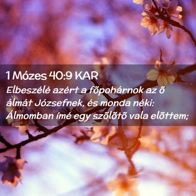 Picture 02 - 1 Mózes 40:9 KAR - Elbeszélé azért a fõpohárnok az õ álmát - Bible Verse Picture