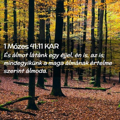Picture 02 - 1 Mózes 41:11 KAR - És álmot látánk egy éjjel, én is, az is; - Bible Verse Picture
