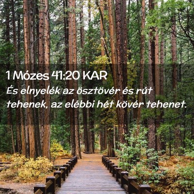 Picture 02 - 1 Mózes 41:20 KAR - És elnyelék az ösztövér és rút tehenek, az - Bible Verse Picture
