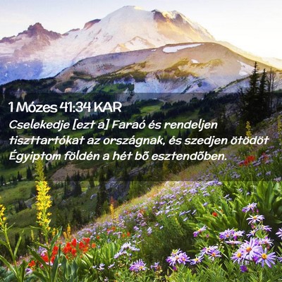 Picture 02 - 1 Mózes 41:34 KAR - Cselekedje [ezt a] Faraó és rendeljen - Bible Verse Picture