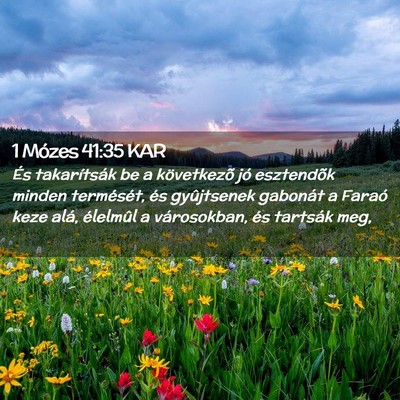 Picture 02 - 1 Mózes 41:35 KAR - És takarítsák be a következõ jó esztendõk - Bible Verse Picture