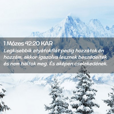 Picture 02 - 1 Mózes 42:20 KAR - Legkisebbik atyátokfiát pedig hozzátok én - Bible Verse Picture