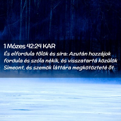 Picture 02 - 1 Mózes 42:24 KAR - És elfordula tõlök és síra: Azután - Bible Verse Picture
