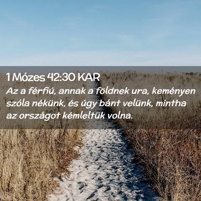 Picture 02 - 1 Mózes 42:30 KAR - Az a férfiú, annak a földnek ura, keményen - Bible Verse Picture