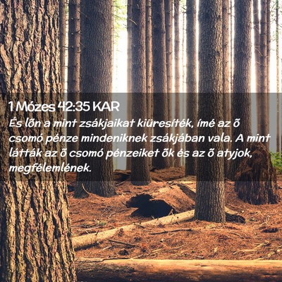 Picture 02 - 1 Mózes 42:35 KAR - És lõn a mint zsákjaikat kiüresíték, ímé - Bible Verse Picture