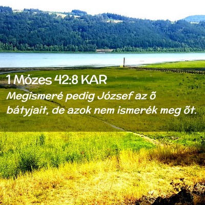Picture 02 - 1 Mózes 42:8 KAR - Megismeré pedig József az õ bátyjait, de azok - Bible Verse Picture