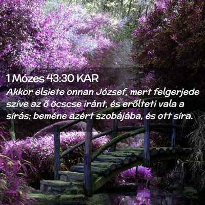Picture 02 - 1 Mózes 43:30 KAR - Akkor elsiete onnan József, mert felgerjede - Bible Verse Picture