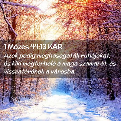 Picture 02 - 1 Mózes 44:13 KAR - Azok pedig meghasogaták ruhájokat, és kiki - Bible Verse Picture