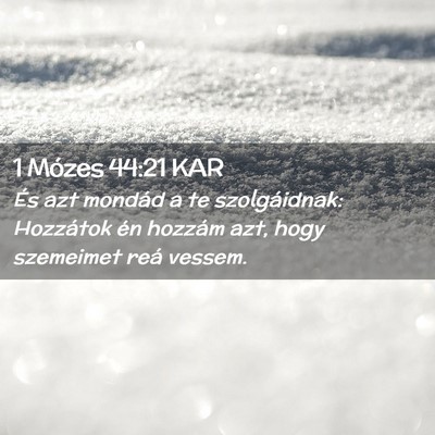 Picture 02 - 1 Mózes 44:21 KAR - És azt mondád a te szolgáidnak: Hozzátok én - Bible Verse Picture