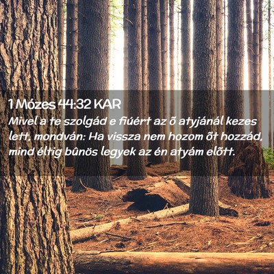 Picture 02 - 1 Mózes 44:32 KAR - Mivel a te szolgád e fiúért az õ atyjánál - Bible Verse Picture