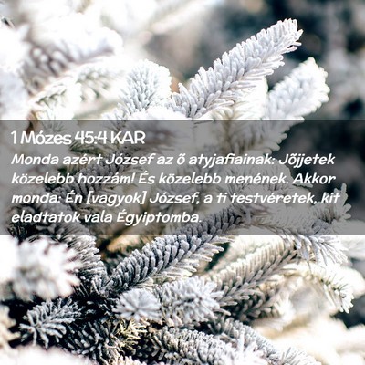Picture 02 - 1 Mózes 45:4 KAR - Monda azért József az õ atyjafiainak: - Bible Verse Picture
