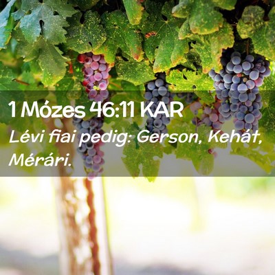Picture 02 - 1 Mózes 46:11 KAR - Lévi fiai pedig: Gerson, Kehát, - Bible Verse Picture