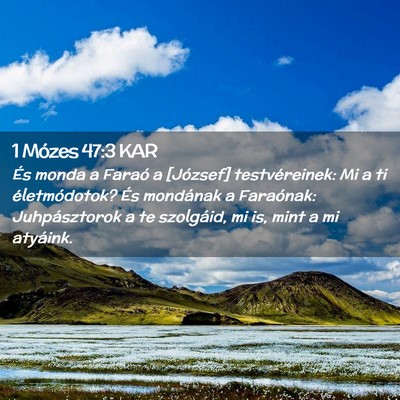 Picture 02 - 1 Mózes 47:3 KAR - És monda a Faraó a [József] testvéreinek: Mi - Bible Verse Picture