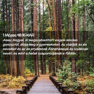 Picture 02 - 1 Mózes 48:16 KAR - Amaz Angyal, ki megszabadított engem minden - Bible Verse Picture
