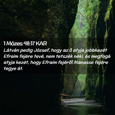Picture 02 - 1 Mózes 48:17 KAR - Látván pedig József, hogy az õ atyja - Bible Verse Picture