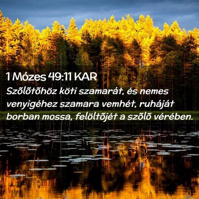 Picture 02 - 1 Mózes 49:11 KAR - Szõlõtõhöz köti szamarát, és nemes - Bible Verse Picture