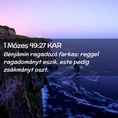 Picture 02 - 1 Mózes 49:27 KAR - Benjámin ragadozó farkas: reggel ragadományt - Bible Verse Picture
