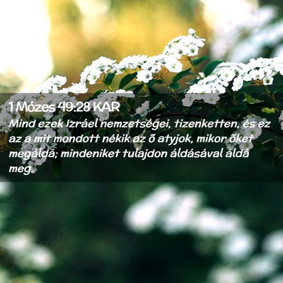 Picture 02 - 1 Mózes 49:28 KAR - Mind ezek Izráel nemzetségei, tizenketten, és - Bible Verse Picture