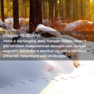 Picture 02 - 1 Mózes 49:30 KAR - Abba a barlangba, mely Kanaán földén Mamré - Bible Verse Picture