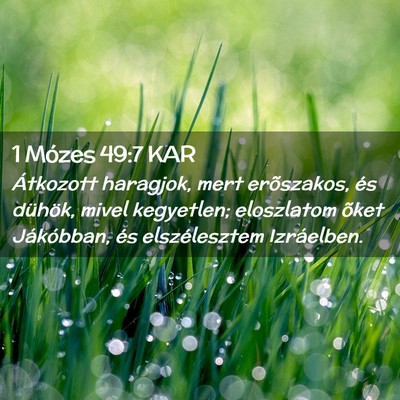 Picture 02 - 1 Mózes 49:7 KAR - Átkozott haragjok, mert erõszakos, és dühök, - Bible Verse Picture