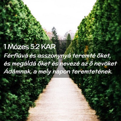 Picture 02 - 1 Mózes 5:2 KAR - Férfiúvá és asszonynyá teremté õket, és - Bible Verse Picture