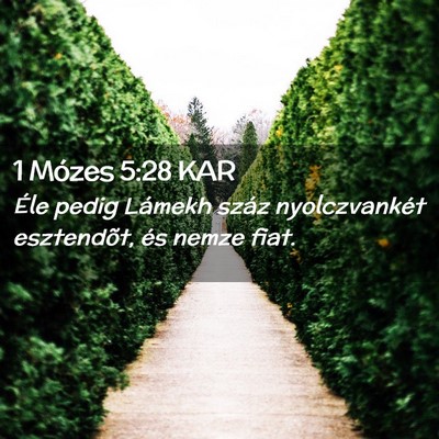 Picture 02 - 1 Mózes 5:28 KAR - Éle pedig Lámekh száz nyolczvankét - Bible Verse Picture