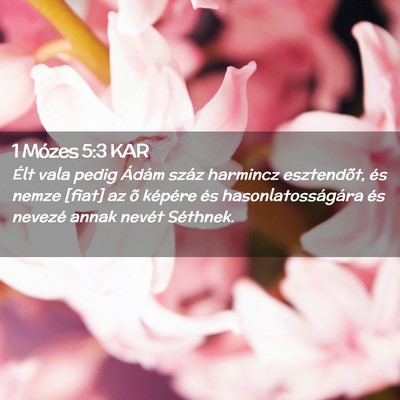 Picture 02 - 1 Mózes 5:3 KAR - Élt vala pedig Ádám száz harmincz esztendõt, - Bible Verse Picture