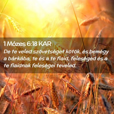 Picture 02 - 1 Mózes 6:18 KAR - De te veled szövetséget kötök, és bemégy a - Bible Verse Picture