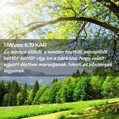 Picture 02 - 1 Mózes 6:19 KAR - És minden élõbõl, s minden testbõl, - Bible Verse Picture