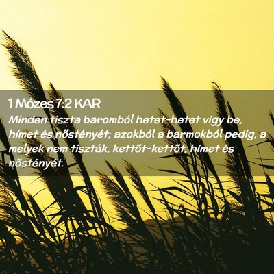 Picture 02 - 1 Mózes 7:2 KAR - Minden tiszta baromból hetet-hetet vígy be, - Bible Verse Picture