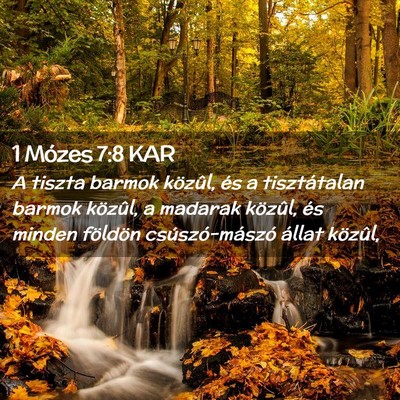 Picture 02 - 1 Mózes 7:8 KAR - A tiszta barmok közûl, és a tisztátalan - Bible Verse Picture