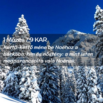 Picture 02 - 1 Mózes 7:9 KAR - Kettõ-kettõ méne be Noéhoz a bárkába, hím - Bible Verse Picture