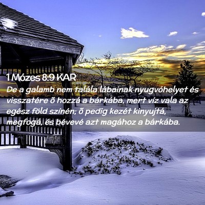 Picture 02 - 1 Mózes 8:9 KAR - De a galamb nem talála lábainak nyugvóhelyet - Bible Verse Picture