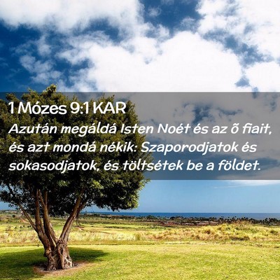 Picture 02 - 1 Mózes 9:1 KAR - Azután megáldá Isten Noét és az õ fiait, - Bible Verse Picture