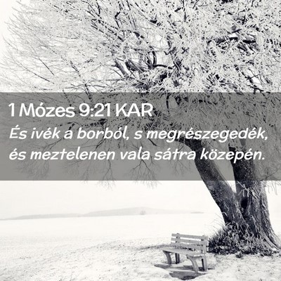 Picture 02 - 1 Mózes 9:21 KAR - És ivék a borból, s megrészegedék, és - Bible Verse Picture