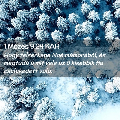 Picture 02 - 1 Mózes 9:24 KAR - Hogy felserkene Noé mámorából, és megtudá a - Bible Verse Picture