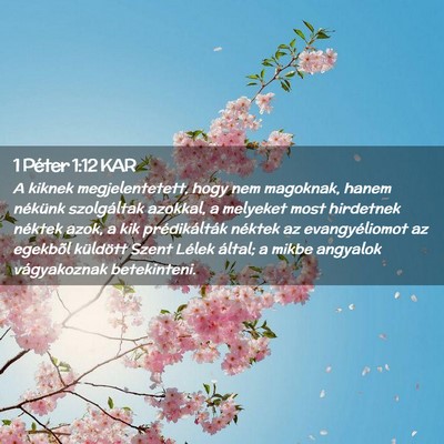 Picture 02 - 1 Péter 1:12 KAR - A kiknek megjelentetett, hogy nem magoknak, hanem - Bible Verse Picture